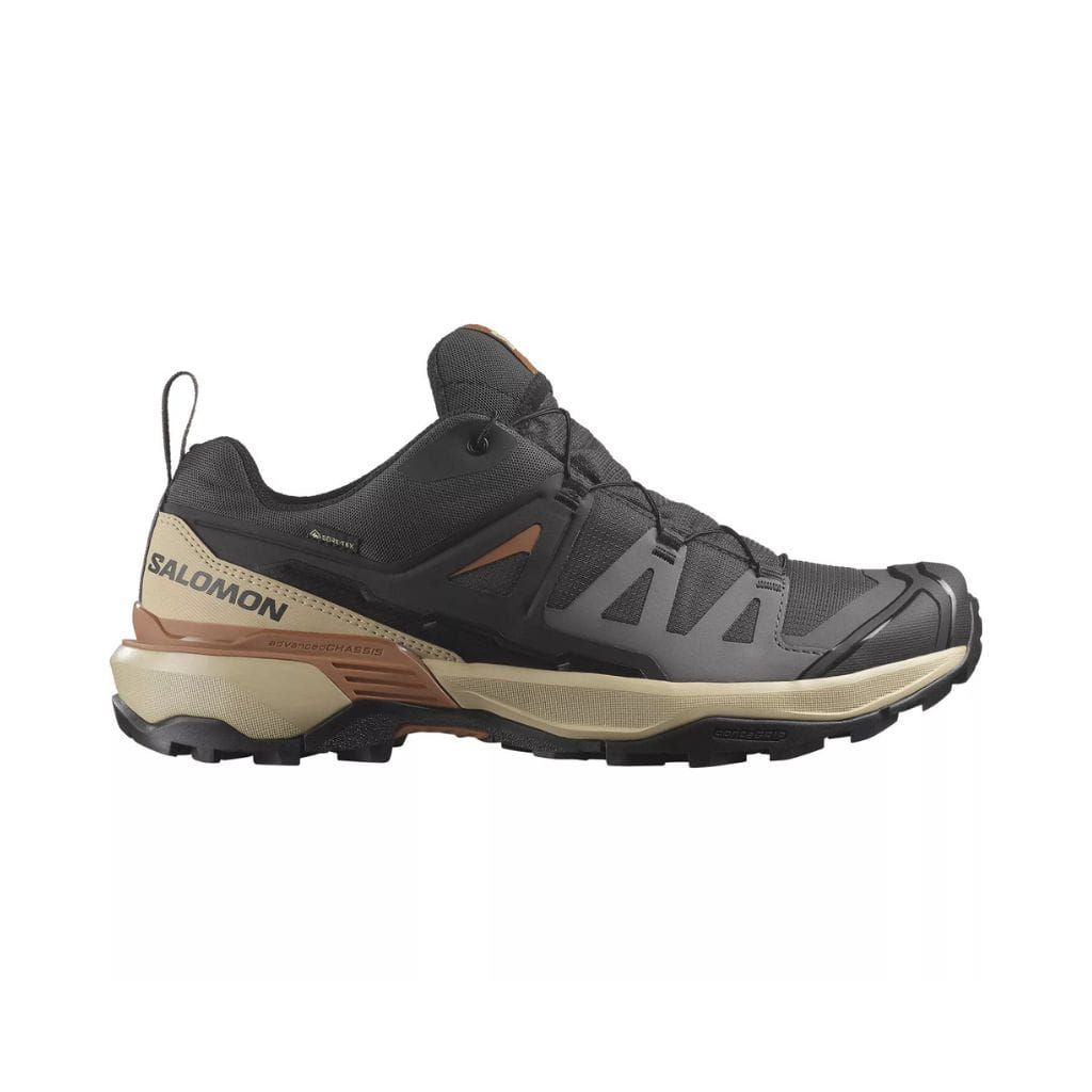 Buty męskie Salomon X Ultra 360 GTX Phantom/Safari/Caramel Cafe
